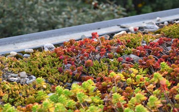 the cost of John O Groats green roof installation