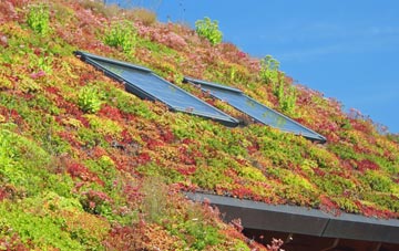 John O Groats living roof systems