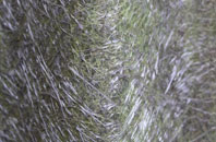 John O Groats fibreglass roof work